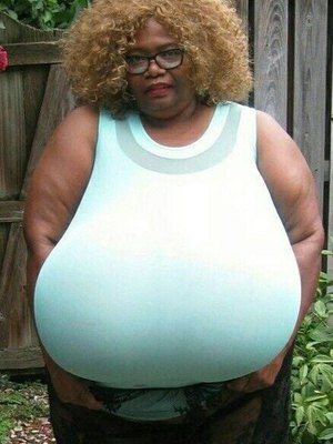 Norma Stitz