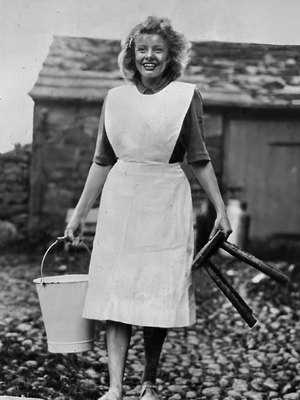 Phyllis Robins