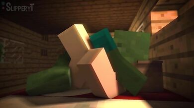 Minecraft and sex in this world