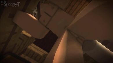 Minecraft and sex in this world