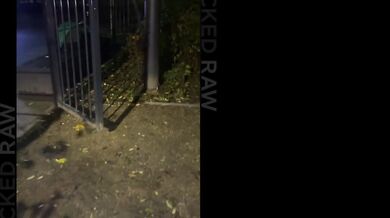 Ashby Winter and Lily Blossom prove they are the ultimate duo for an intense interracial session